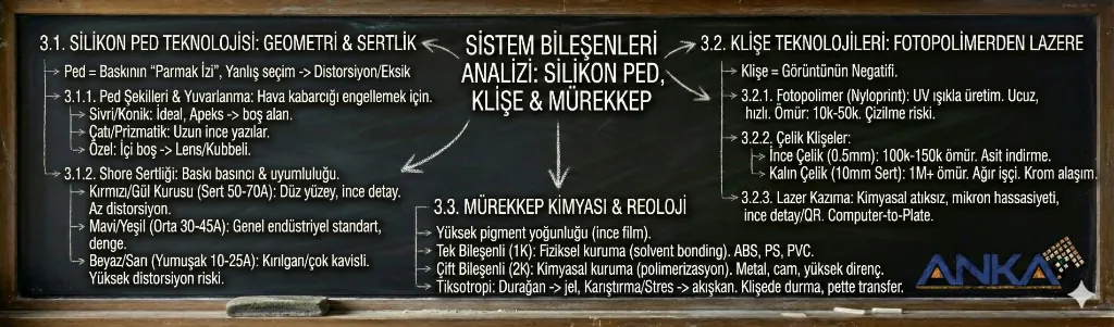 System Components